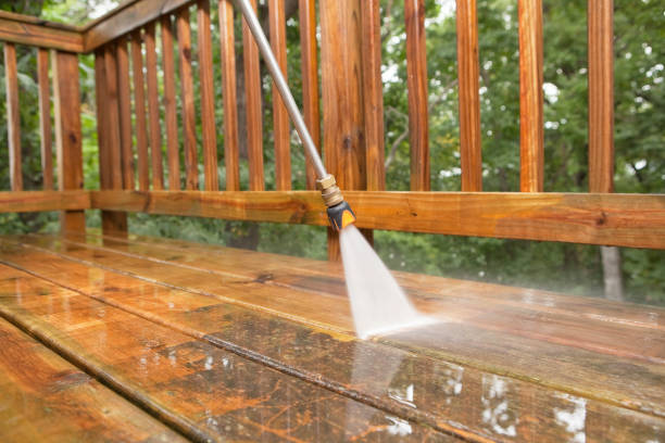 Best Solar Panel Cleaning  in Linden, TN
